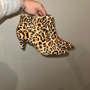 Limelight Leopard Print Ankle Booties